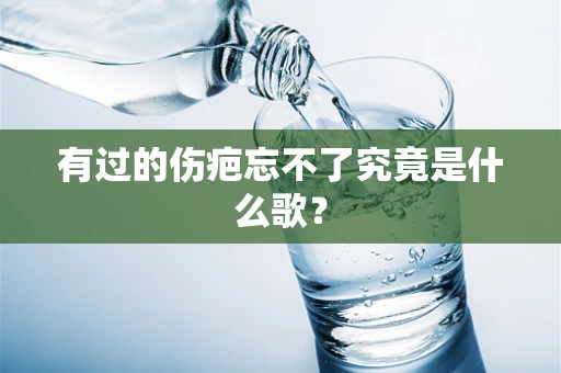 有过的伤疤忘不了究竟是什么歌？
