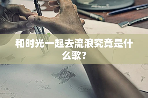 和时光一起去流浪究竟是什么歌？
