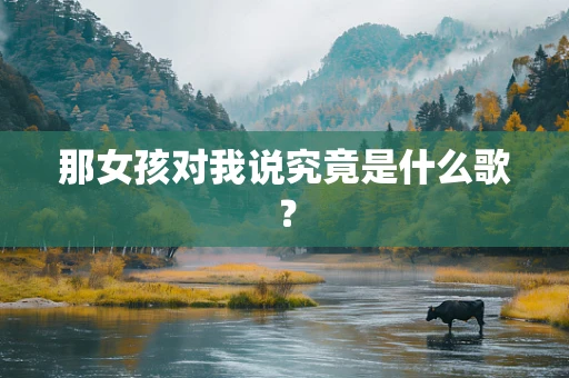那女孩对我说究竟是什么歌？