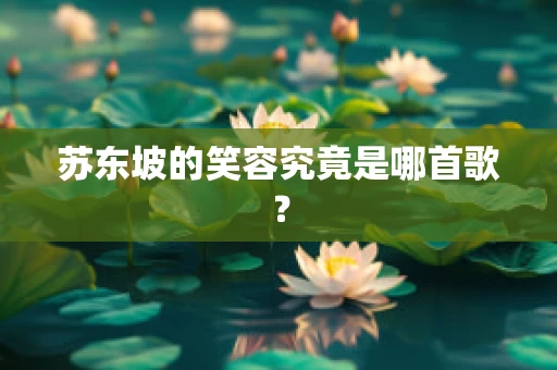 苏东坡的笑容究竟是哪首歌？