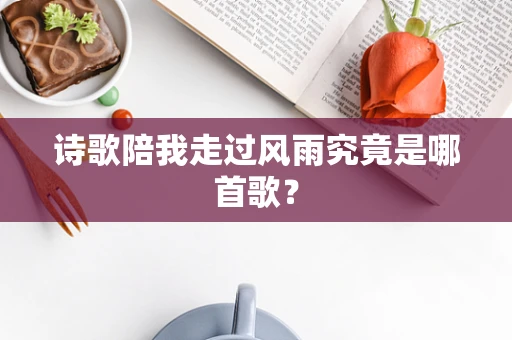 诗歌陪我走过风雨究竟是哪首歌？