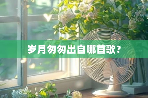 岁月匆匆出自哪首歌？