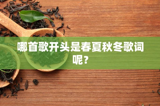 哪首歌开头是春夏秋冬歌词呢？