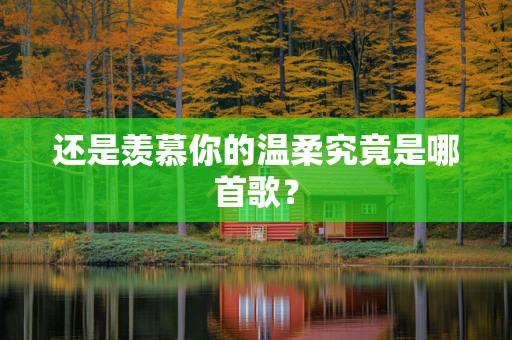 还是羡慕你的温柔究竟是哪首歌？