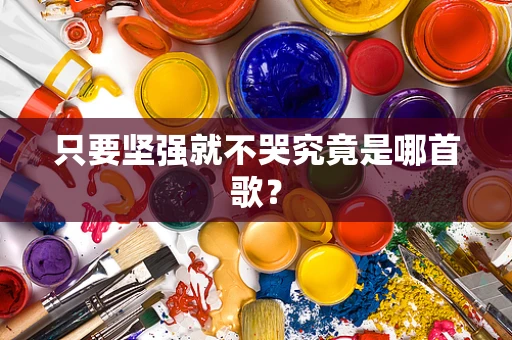 只要坚强就不哭究竟是哪首歌？