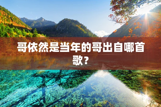 哥依然是当年的哥出自哪首歌？