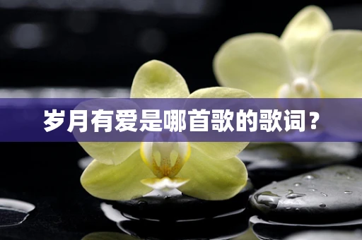 岁月有爱是哪首歌的歌词？