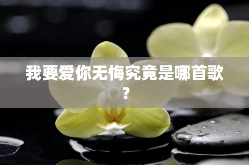 我要爱你无悔究竟是哪首歌？
