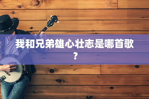 我和兄弟雄心壮志是哪首歌？