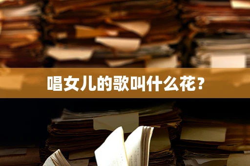 唱女儿的歌叫什么花？
