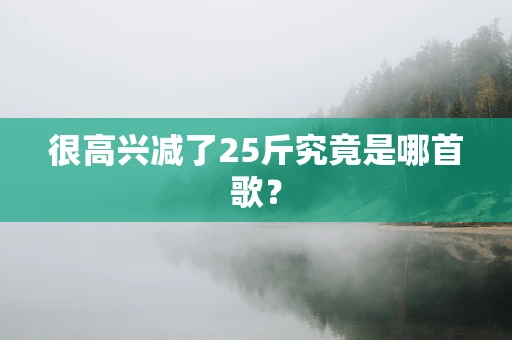 很高兴减了25斤究竟是哪首歌？