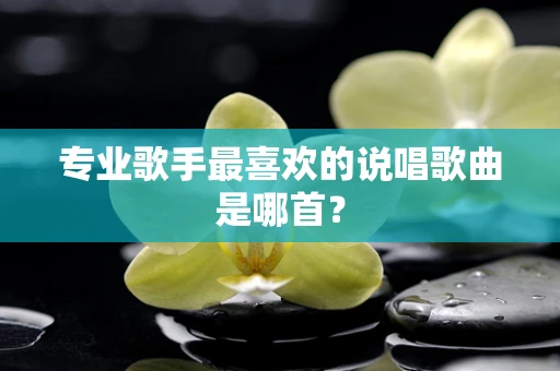 专业歌手最喜欢的说唱歌曲是哪首？