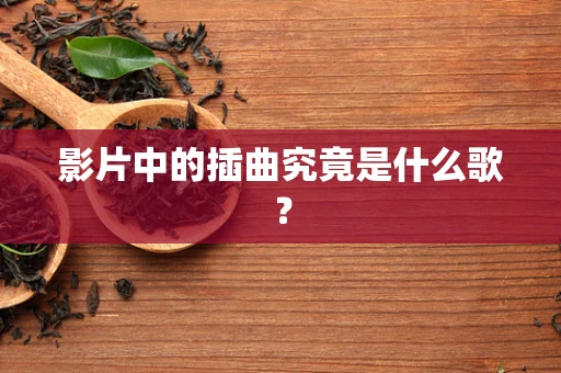 影片中的插曲究竟是什么歌？