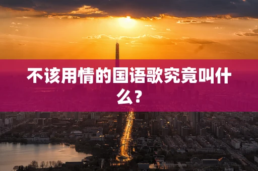 不该用情的国语歌究竟叫什么？