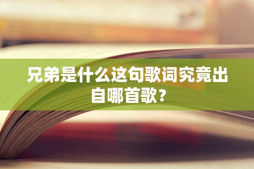 兄弟是什么这句歌词究竟出自哪首歌？