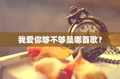 我爱你够不够是哪首歌？