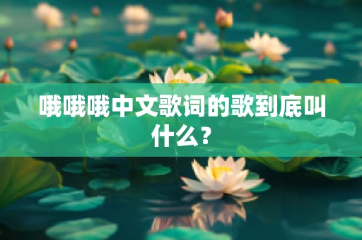 哦哦哦中文歌词的歌到底叫什么？