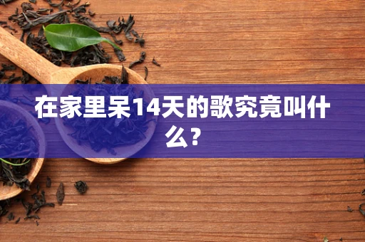 在家里呆14天的歌究竟叫什么？