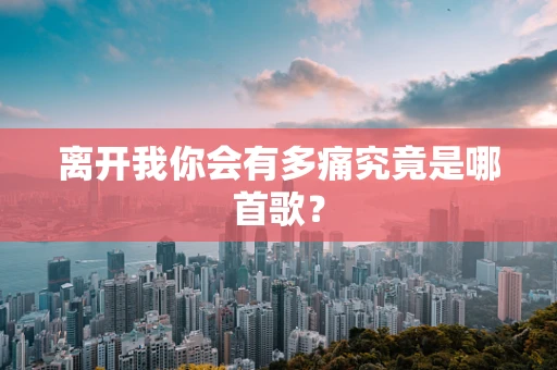 离开我你会有多痛究竟是哪首歌？