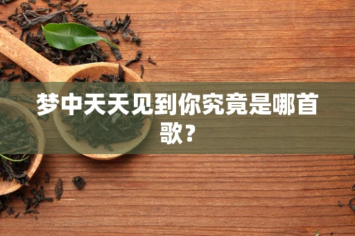 梦中天天见到你究竟是哪首歌？