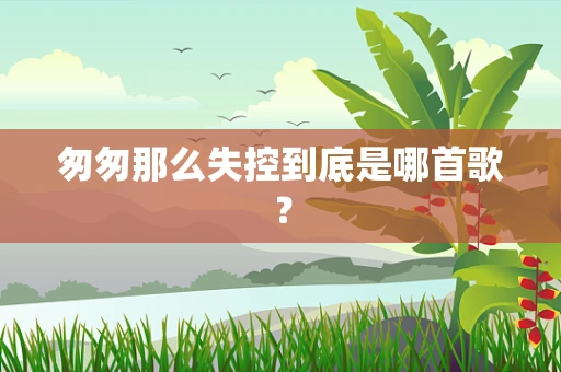 匆匆那么失控到底是哪首歌？