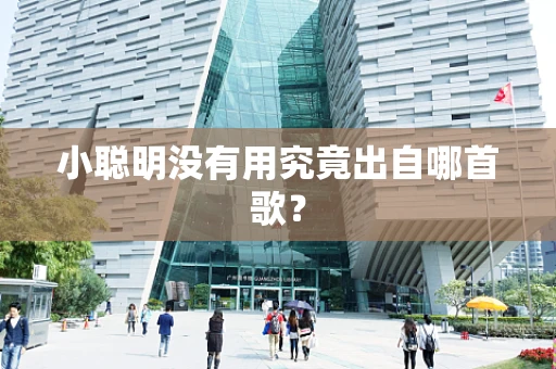 小聪明没有用究竟出自哪首歌？