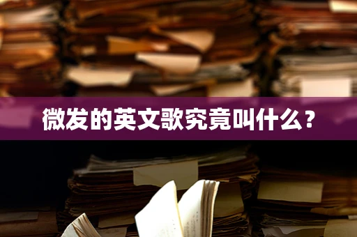微发的英文歌究竟叫什么？