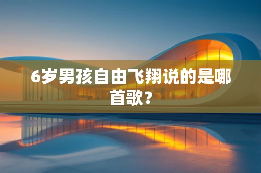 6岁男孩自由飞翔说的是哪首歌？