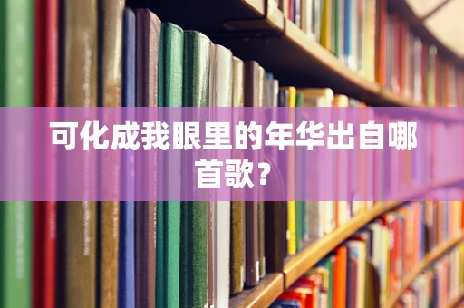可化成我眼里的年华出自哪首歌？