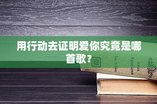 用行动去证明爱你究竟是哪首歌？