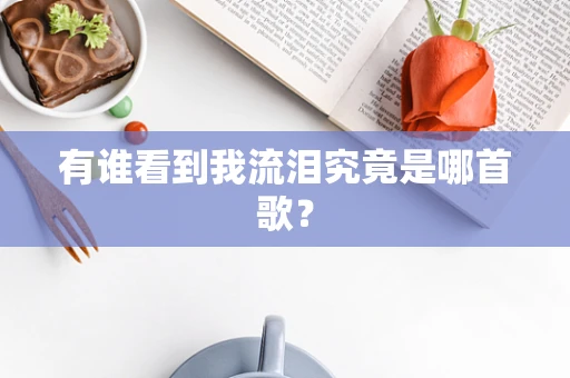 有谁看到我流泪究竟是哪首歌？