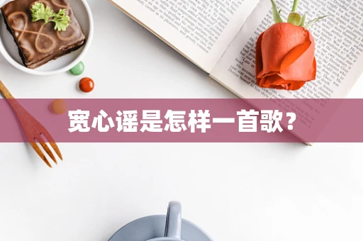 宽心谣是怎样一首歌？