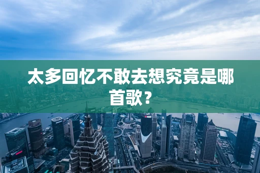 太多回忆不敢去想究竟是哪首歌？