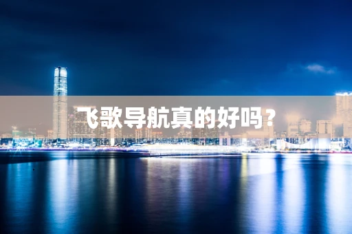 飞歌导航真的好吗？