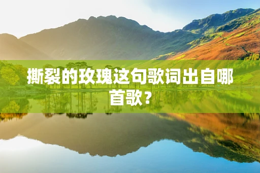 撕裂的玫瑰这句歌词出自哪首歌？
