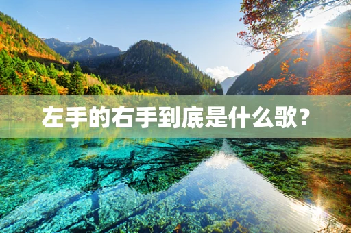 左手的右手到底是什么歌？
