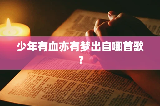 少年有血亦有梦出自哪首歌？