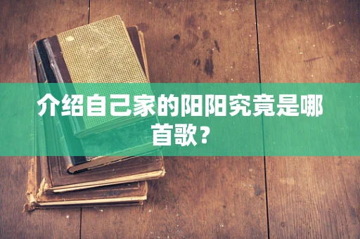 介绍自己家的阳阳究竟是哪首歌？