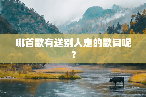 哪首歌有送别人走的歌词呢？