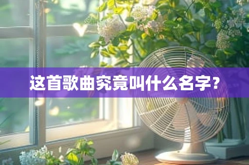 这首歌曲究竟叫什么名字？