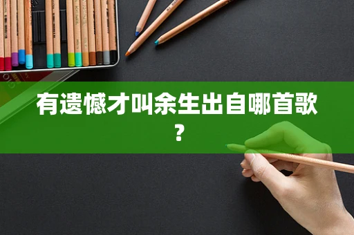 有遗憾才叫余生出自哪首歌？