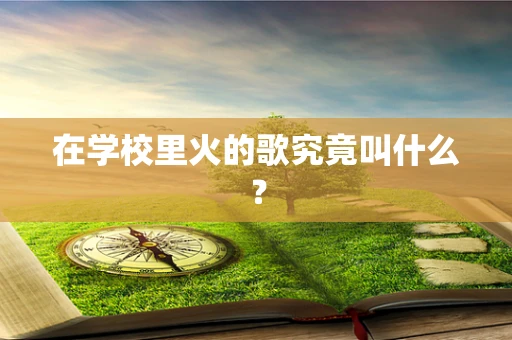 在学校里火的歌究竟叫什么？