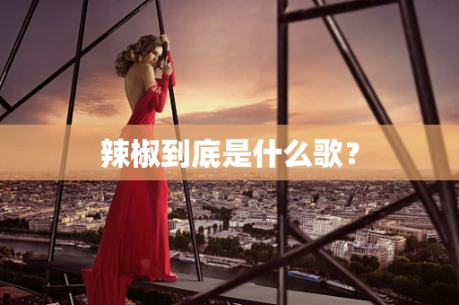 辣椒到底是什么歌？