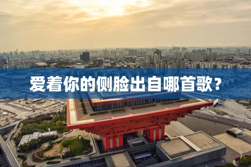 爱着你的侧脸出自哪首歌？