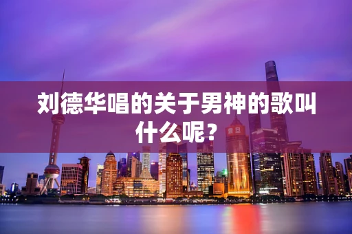 刘德华唱的关于男神的歌叫什么呢？