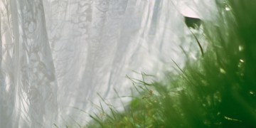 他白衣翩翩出自哪首歌？