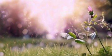 让我感受爱的歌声究竟是哪首歌？