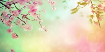 送你满屏的春天究竟是哪首歌？