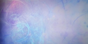 也许你还这样究竟是哪首歌？