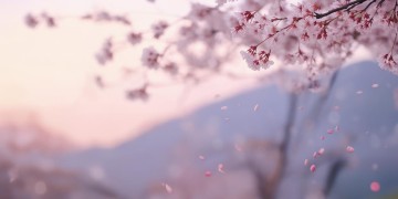 为了你我不后悔究竟是哪首歌？